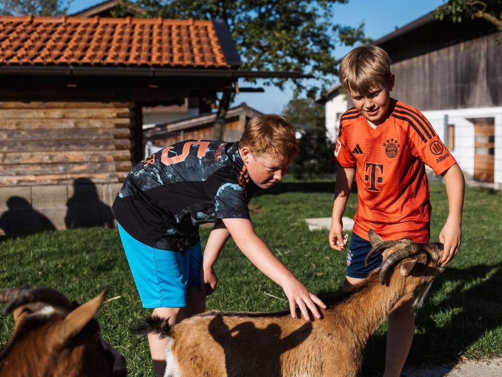 Bauernhofdiplom am Wimmerhof