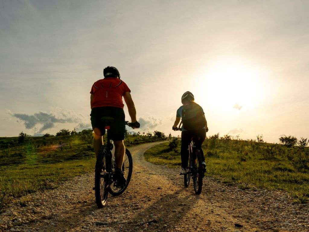 Goldene Aktivtage am Schererhof