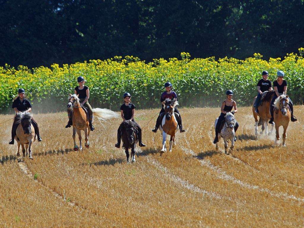 Herbstferien auf dem Ferienhof Mühlthal