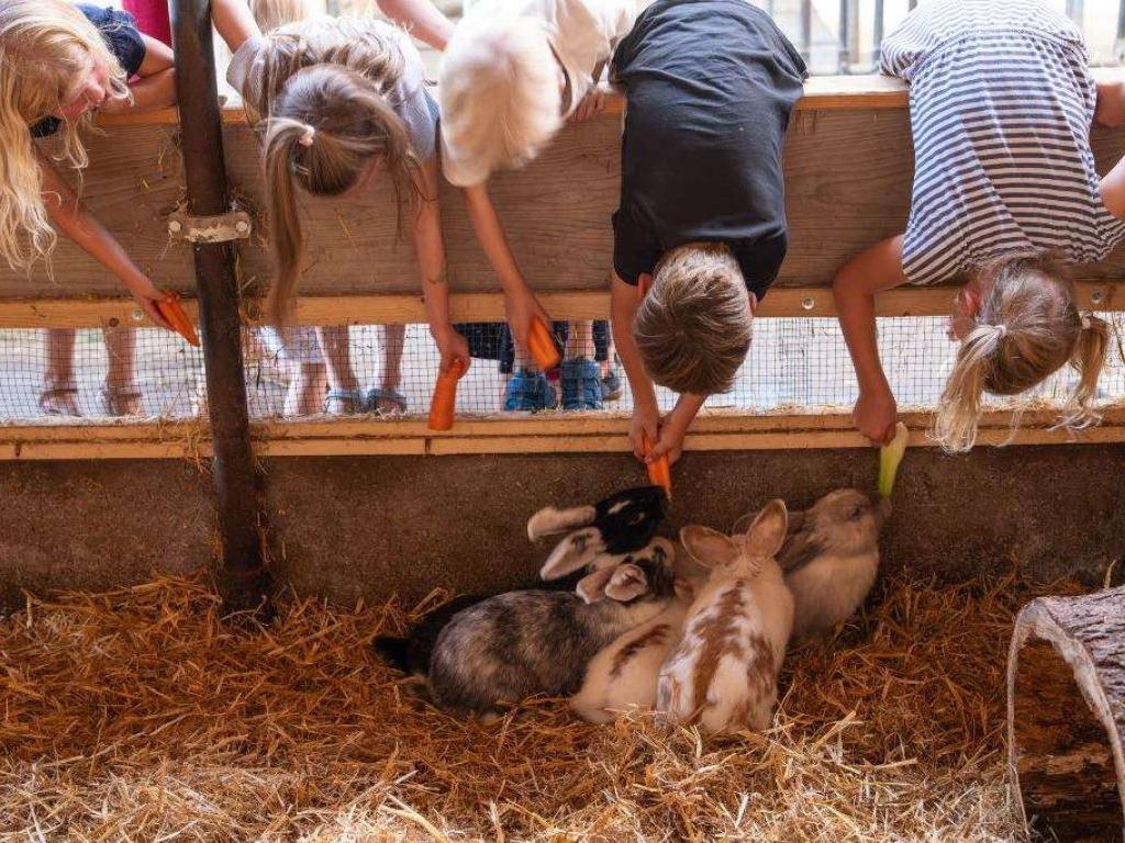 Familienurlaub am Hagerhof - Kinder spielen auf der Wiese vor dem Trampolin