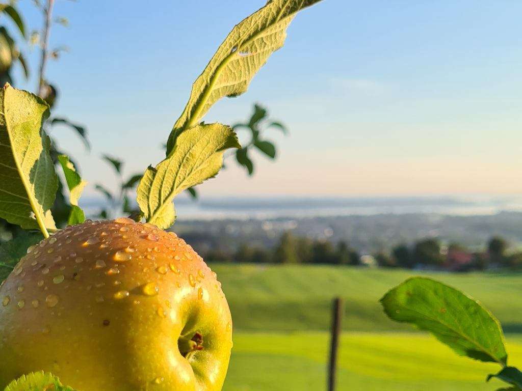 Goldener Herbst am Chiemsee