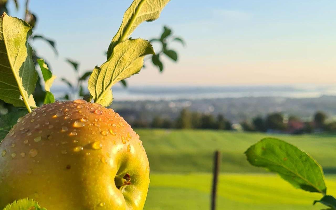 Goldener Herbst am Chiemsee