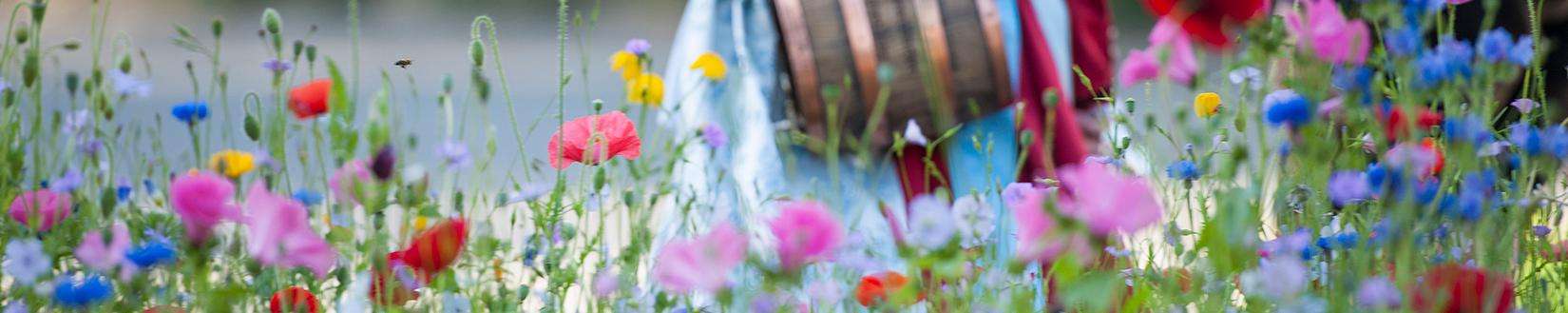 Blumenwiese bei einem Chiemsee Bauernhof