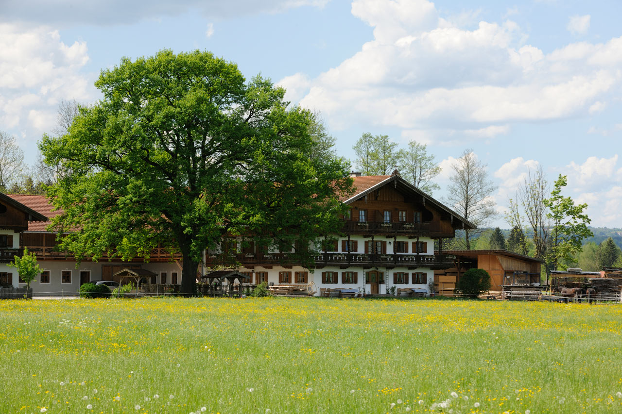 Ein Chiemsee Bauernhof liegt idyllisch auf einer Wiese mit Bäumen