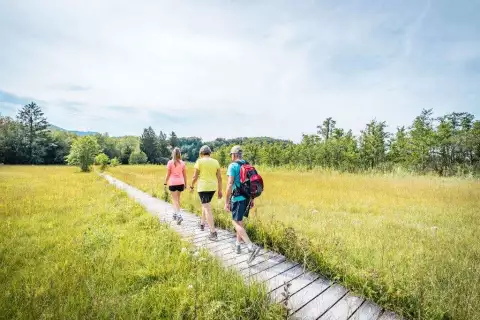01_chiemsee_erlebnisbauernhof_moor_c_chiemse_alpenland_tourismus_thomas_kujat