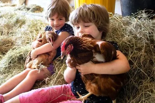 ger00020060858168304-sized-500-0