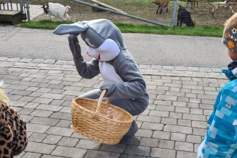 chiemsee_bauernhof_hanznhof_besuch_vom_osterhasen