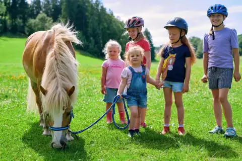chiemsee_hanznhof_ponys_fuehren