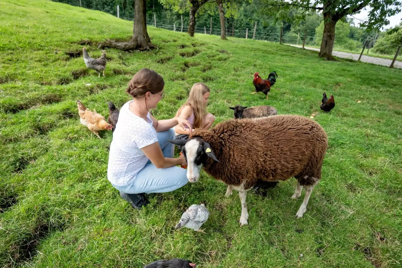 17-schleipfnerhof-schleipfen-1-bernau-am-chiemsee-07-2025-kinder-huehner-3