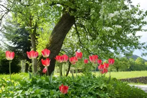 an-laglerhof-052013-30