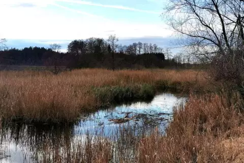chiemsee_erlebnisbauernhof_hartsee