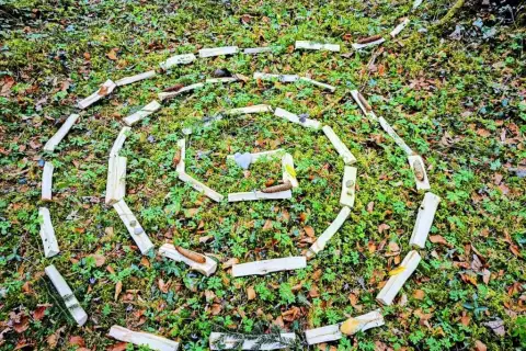 chiemsee_erlebnisbauernhof_reifnhof_hoferlebnis_waldbaden