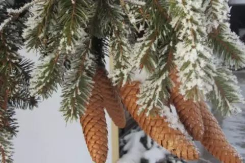 01_chiemsee_erlebnisbauernhof_adventzauber_frankhof