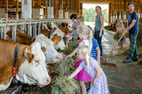 02_chiemsee-bauernhofurlaub_abenteuer