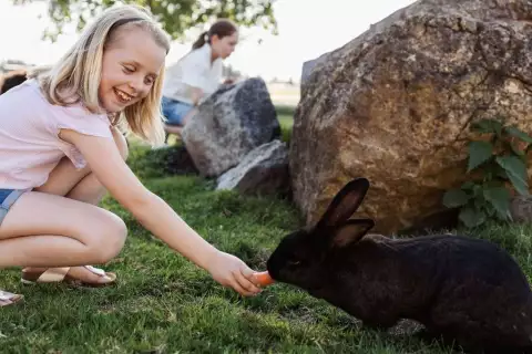chiemsee_erlebnisbauernhof_wimmerhof_tiere_hoferlebnisse