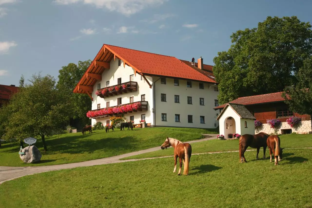 riepertinger-hoerzing-91-0909