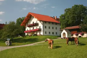 riepertinger-hoerzing-91-0909