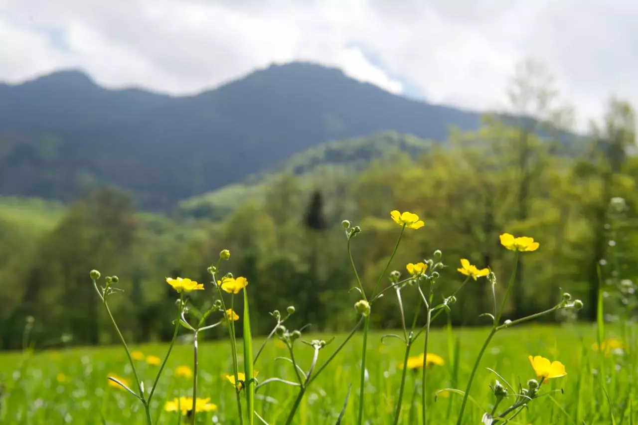 an-laglerhof-052013-70