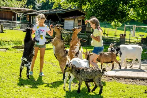 03_chiemsee-bauernhofurlaub_tiere