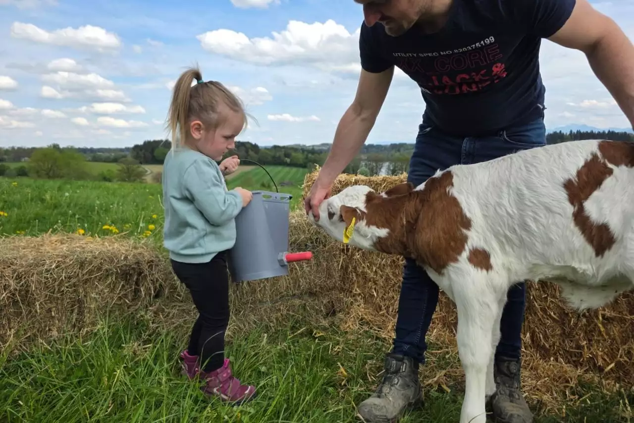 30768d6a-be3b-482e-a5a6-6bce1fbf5dbe