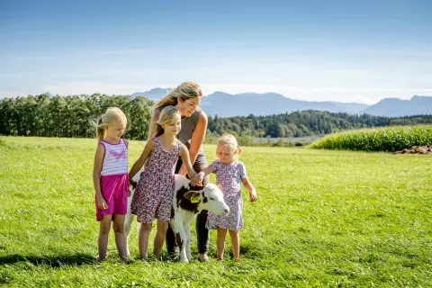 02_chiemsee-bauernhofurlaub_tiere
