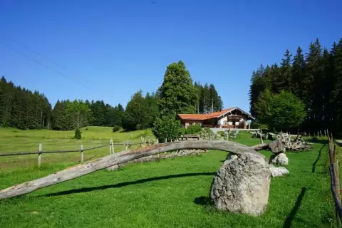 07_chiemsee_eb_almsommer_kaeseralm_c_chiemsee_alpenland_tourismus