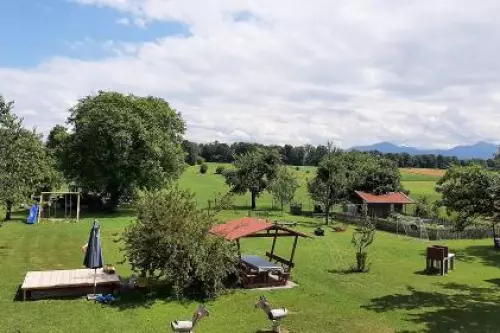 ger00020062349739799-sized-500-0