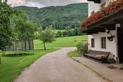 ger00020061579371452-sized-500-0