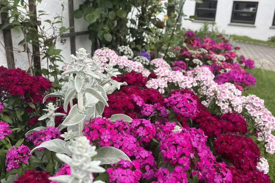 82923e2b-b0d3-456e-a5a2-0fee9ebb5458-1-102-o