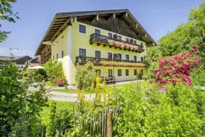 7568-hofansicht-sommerblumen-koellhof-065