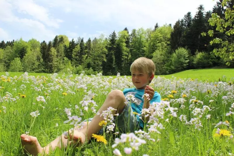 ger00020061072010698-sized-800-0