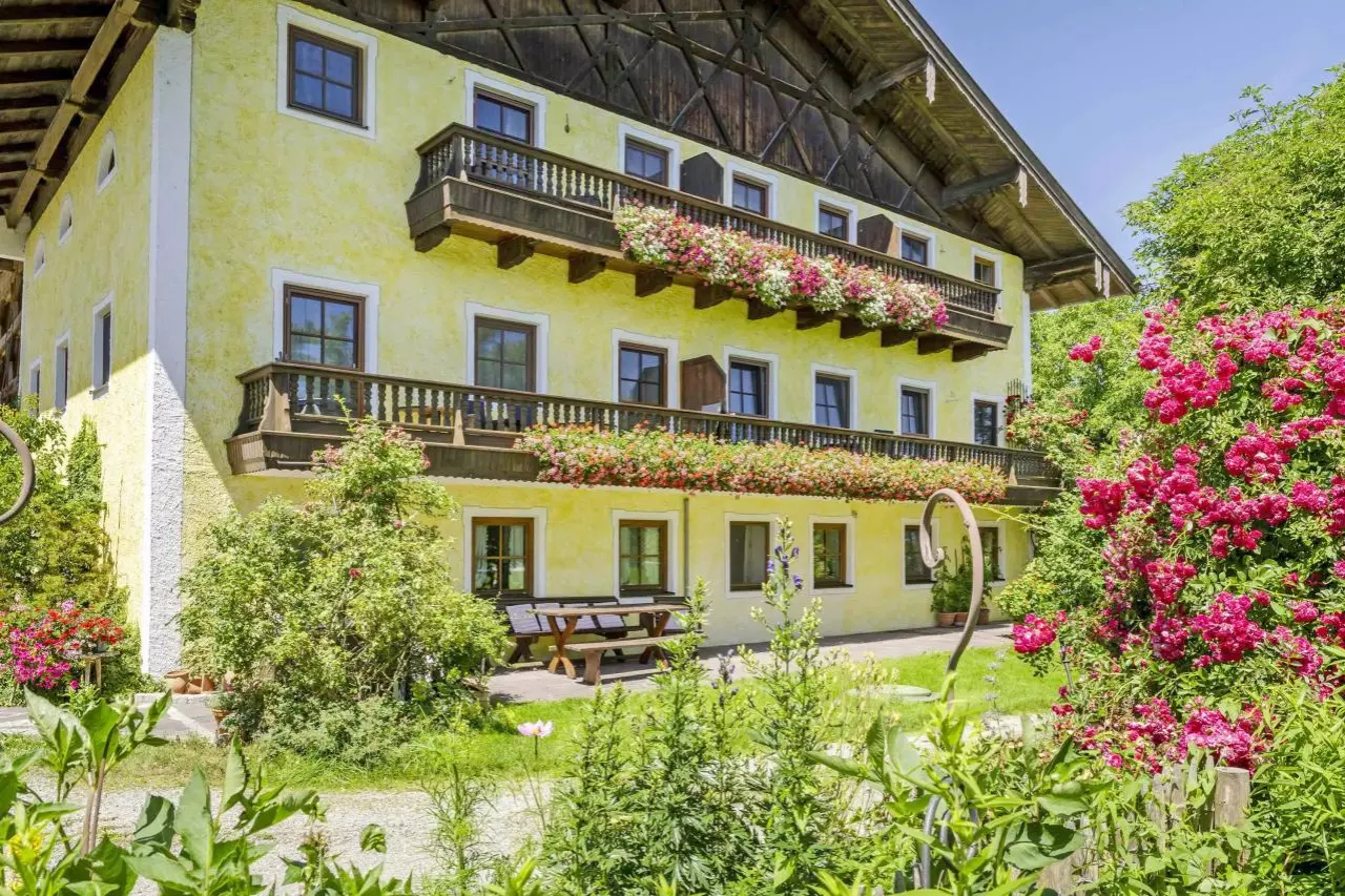 7567-hofansicht-sommerblumen-koellhof-061