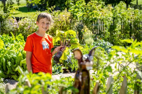 chiemsee_bauernhof_kraeuter_garten_kind