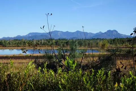 03_chiemsee_erlebnisbauernhof_moor_c_chiemse_alpenland_tourismus