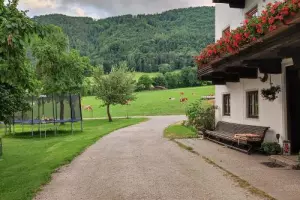 ger00020061579371452-sized-500-0