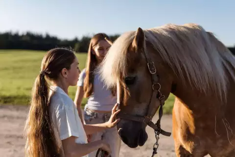 wimmerhof_pferde_bernadita_fotografie