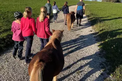 chiemsee_erlebnisbauernhof_hoferlebnis_ablingerhof_aktive_stallzeit