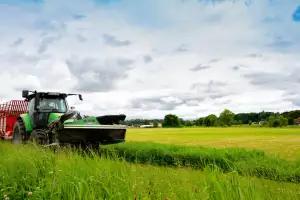 14-fotor-20250213154546