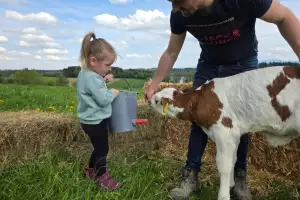 30768d6a-be3b-482e-a5a6-6bce1fbf5dbe