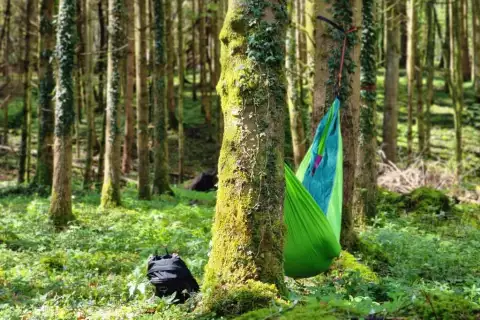 chiemsee_erlebnisbauernhof_reifnhof_waldbaden_hoferlebnis