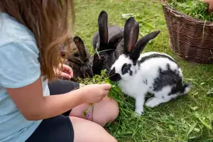 12-schleipfnerhof-schleipfen-1-bernau-am-chiemsee-07-2025-kinder-hasen-2