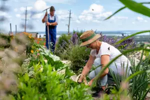 16-schleipfnerhof-schleipfen-1-bernau-am-chiemsee-07-2025-kraeutergarten-martina-donat