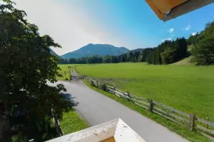 ger00020061717317678-sized-500-0