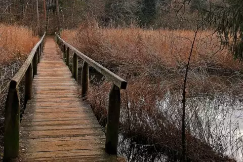 chiemsee_erlebnisbauernhof_frankhof_hartsee_bruecke