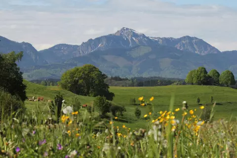 01_chiemsee-bauernhoefe_anreise_bayerische-alpen