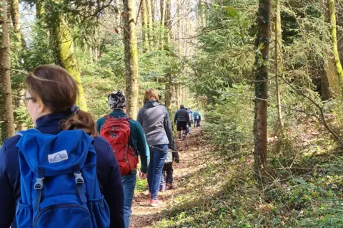 1_chiemsee_bauernhof_rosenheimer-land_chiemseealpenapp_wanderung_wachtelbauerhof_tour_waldweeg