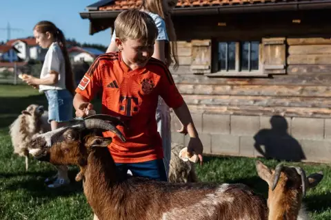 chiemsee_erlebnisbauernhof_wimmerhof_hoferlebnisse_bauernhofdiplom