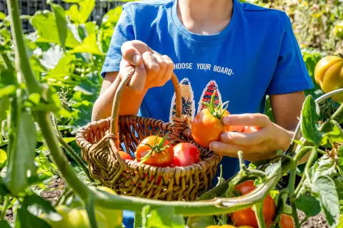 chiemsee_bauernhof_kraeuter_garten_korb_gemuese_ernten_bauernhofurlaub_mit_kindern