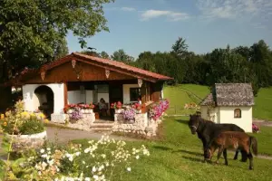 ger00020061323122439-sized-500-0