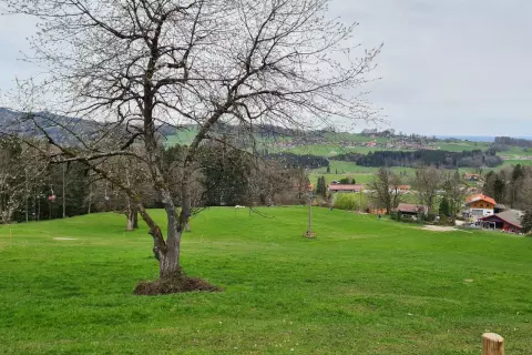 chiemsee_bauernhof_rosenheimer-land_chiemseealpenapp_wanderung_kaeseralm_wanderweg_panoramablick